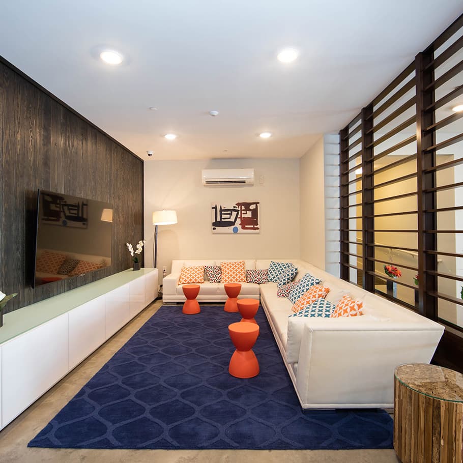 CSC-Lounge-(Couch-and-TV)